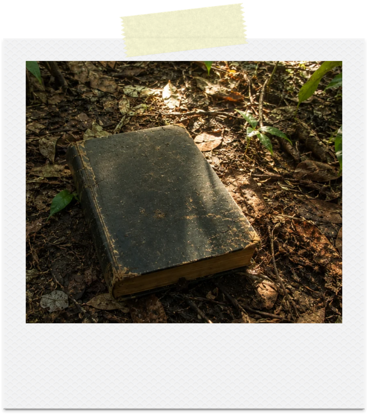 A forgotten book lying on the jungle floor
