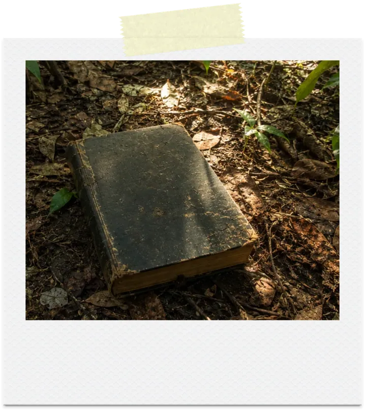 A forgotten book lying on the jungle floor