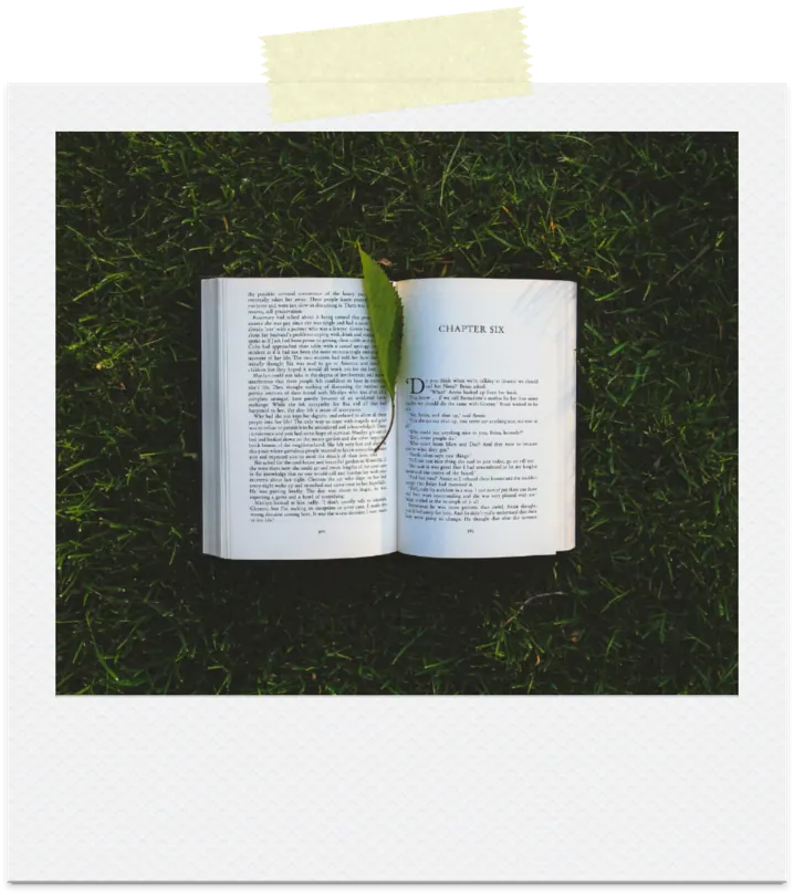 A polaroid of a book lying open in the grass